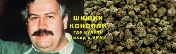 тгк Верея