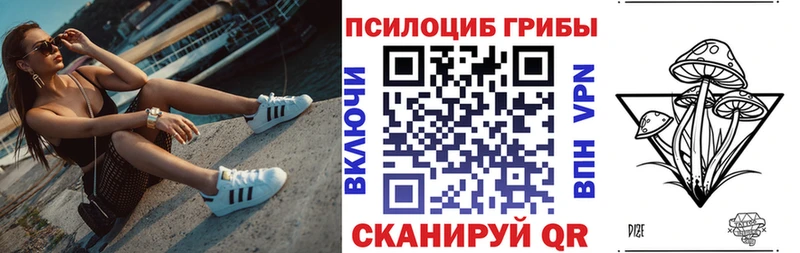 Купить Сольвычегодск Псилоцибиновые грибы MAGIC MUSHROOMS